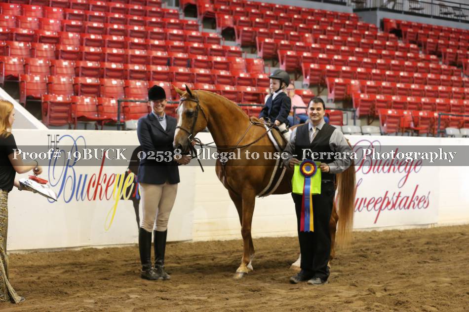 Proof 19BUCK_02538