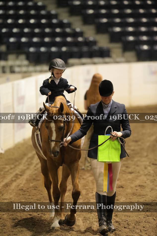 Proof 19BUCK_02539
