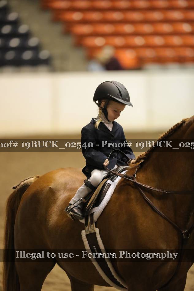 Proof 19BUCK_02540