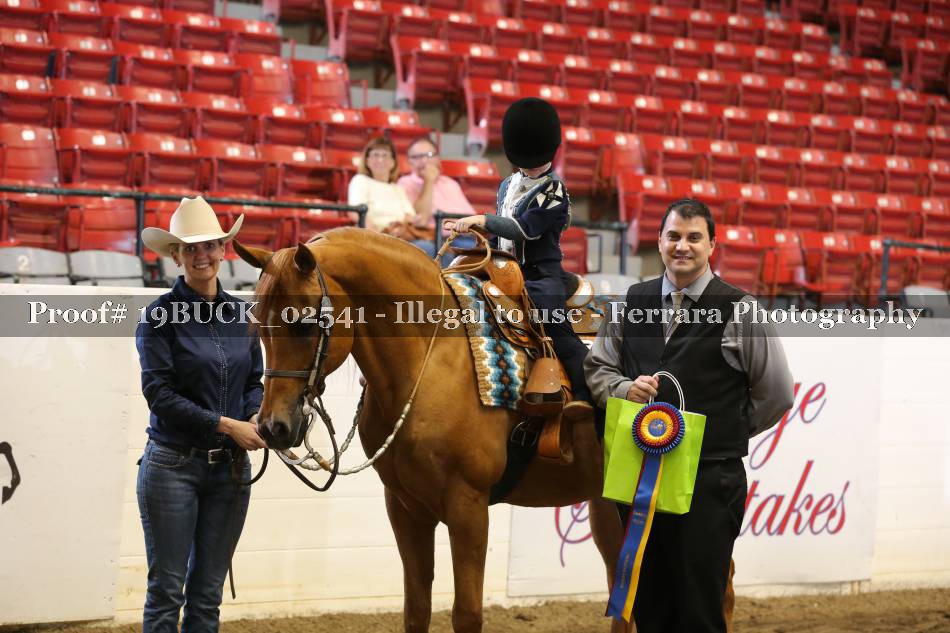Proof 19BUCK_02541