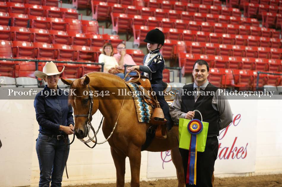 Proof 19BUCK_02542