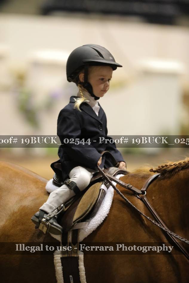 Proof 19BUCK_02544