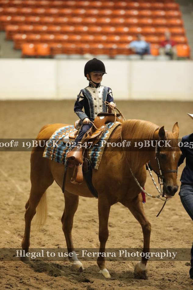 Proof 19BUCK_02547