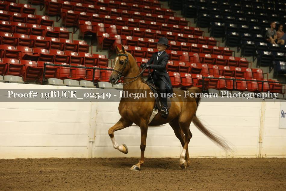 Proof 19BUCK_02549