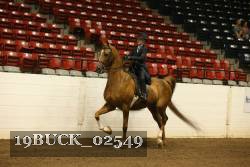 19BUCK_02549 proof