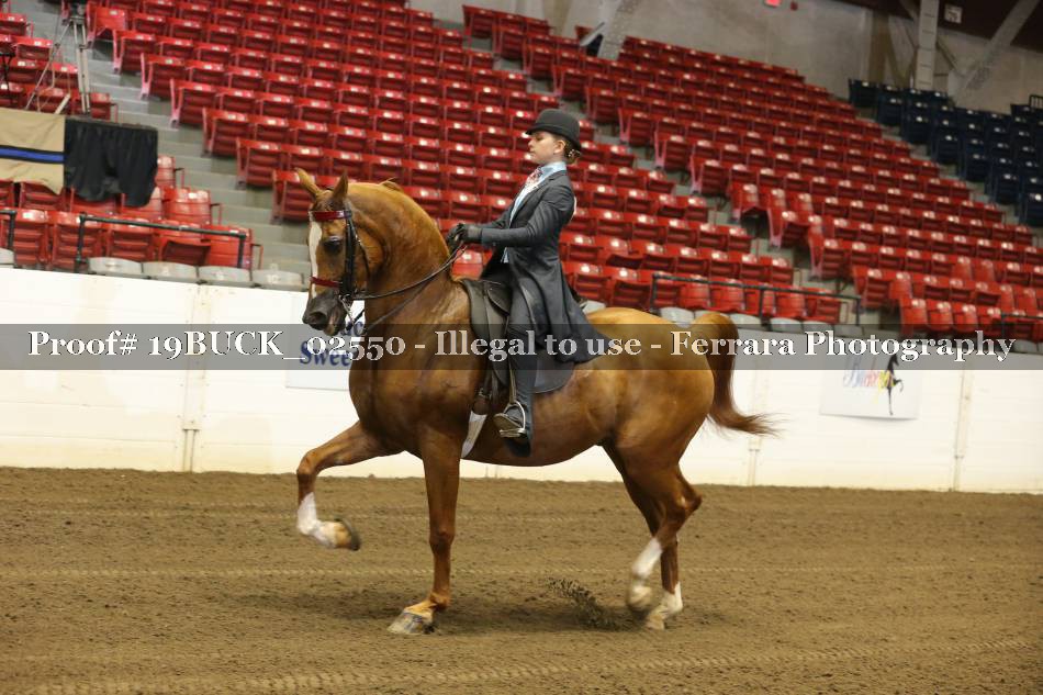 Proof 19BUCK_02550