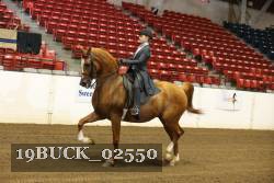 19BUCK_02550 proof