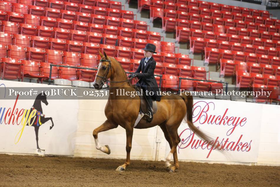 Proof 19BUCK_02551