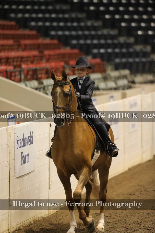 Proof 19BUCK_02805
