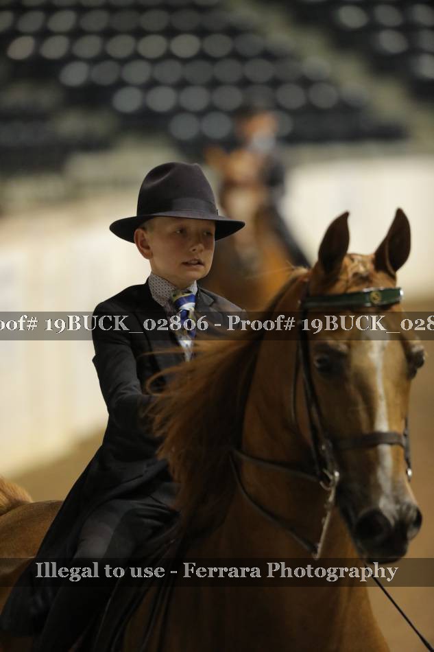 Proof 19BUCK_02806