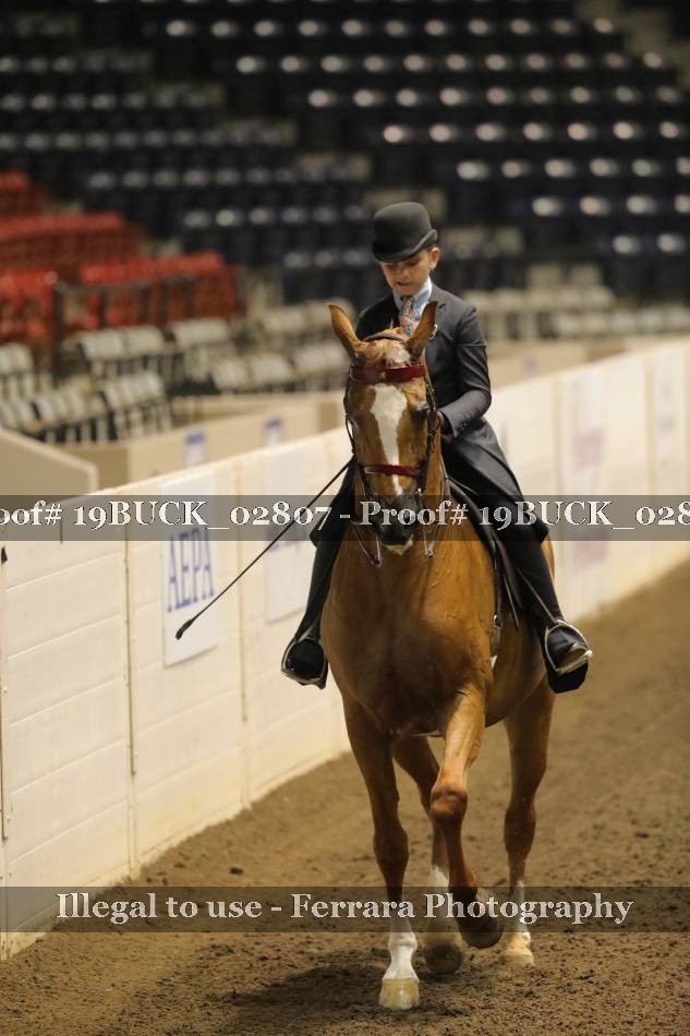 Proof 19BUCK_02807