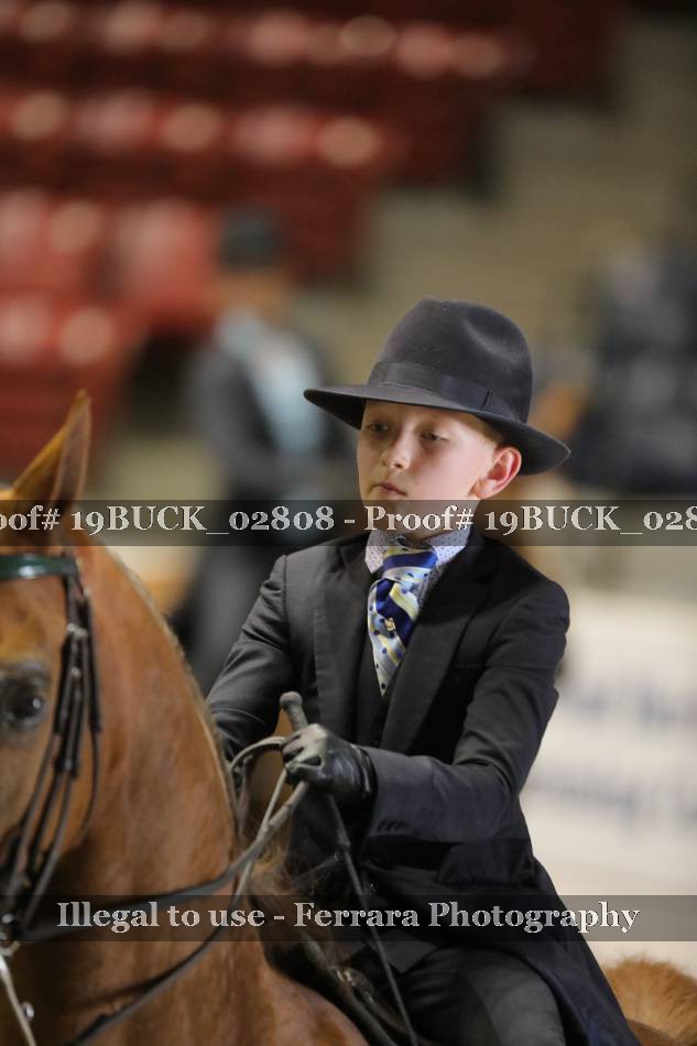 Proof 19BUCK_02808