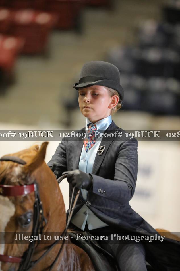 Proof 19BUCK_02809