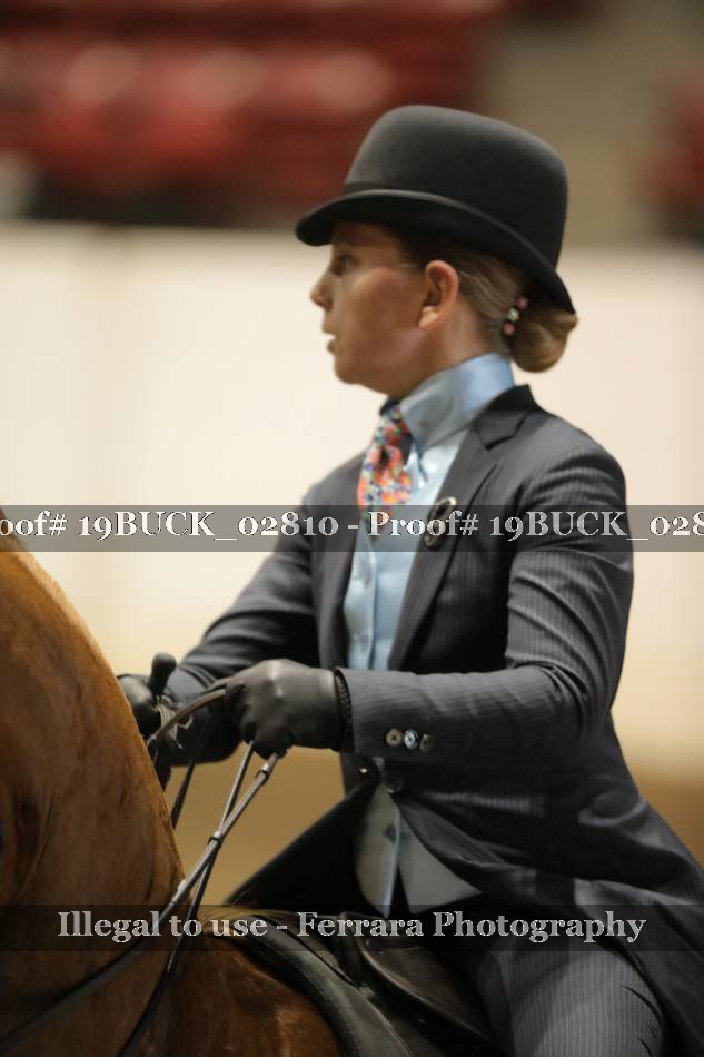 Proof 19BUCK_02810