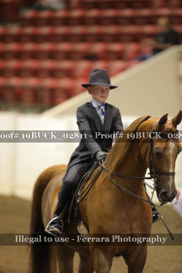 Proof 19BUCK_02811