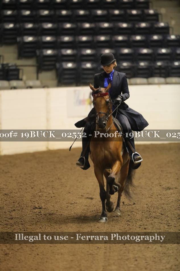 Proof 19BUCK_02552