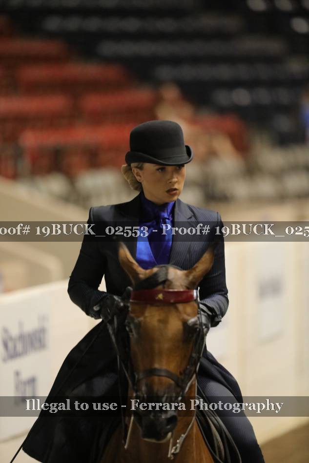 Proof 19BUCK_02553