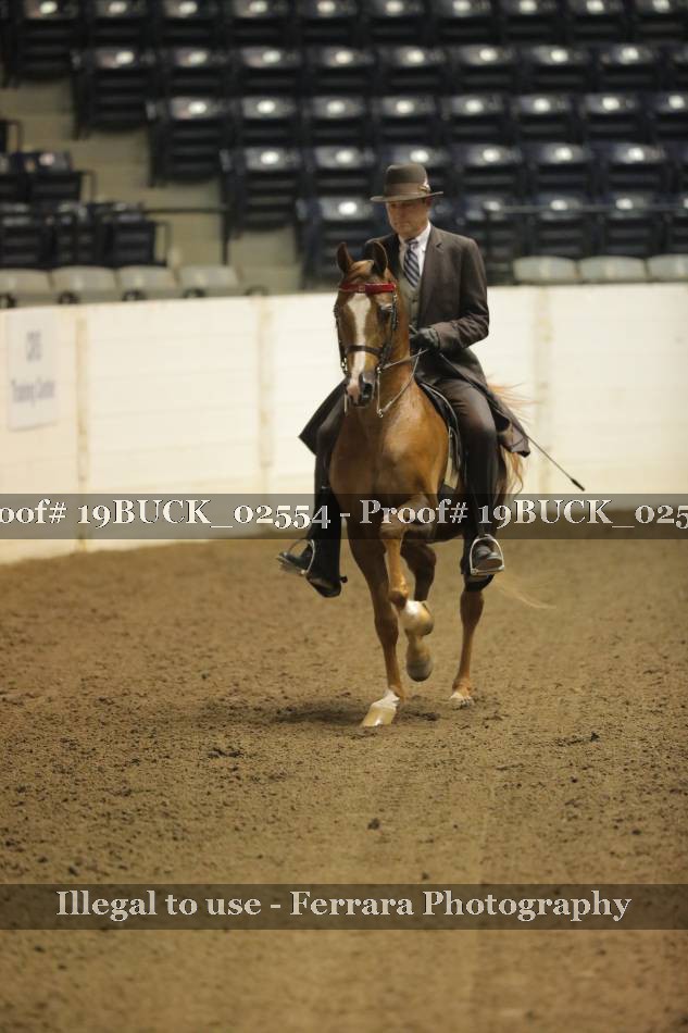 Proof 19BUCK_02554