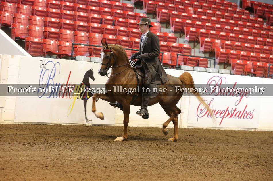 Proof 19BUCK_02555