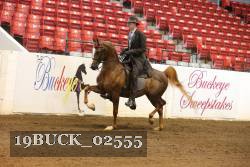 19BUCK_02555 proof