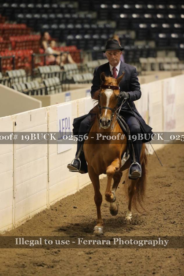 Proof 19BUCK_02556