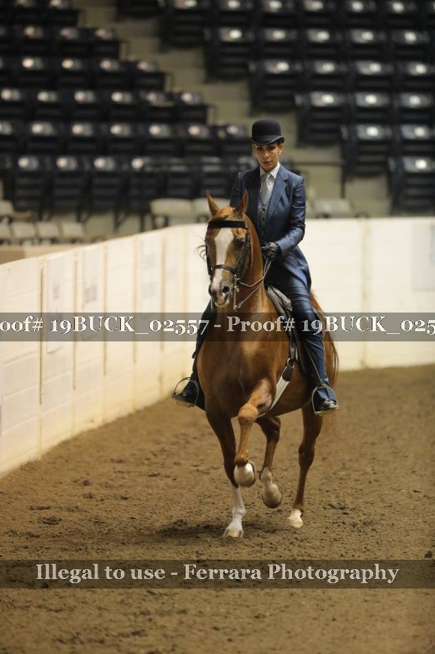 Proof 19BUCK_02557