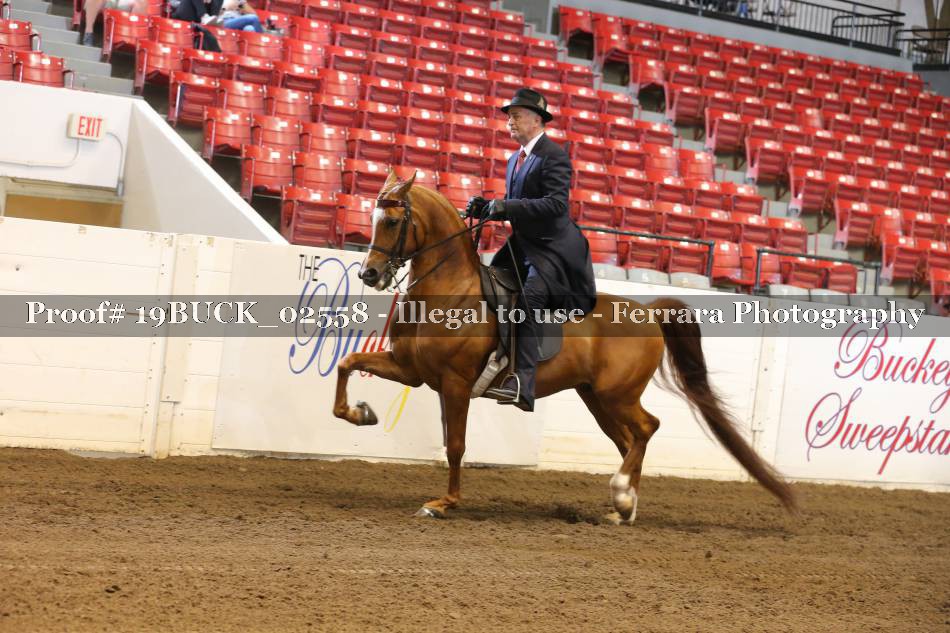 Proof 19BUCK_02558