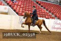19BUCK_02558 proof