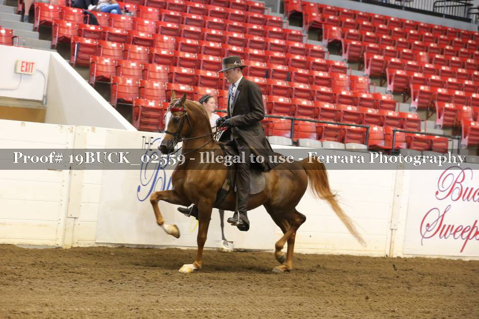 Proof 19BUCK_02559