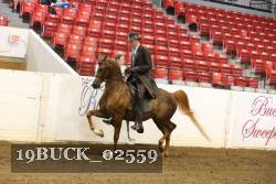 19BUCK_02559 proof