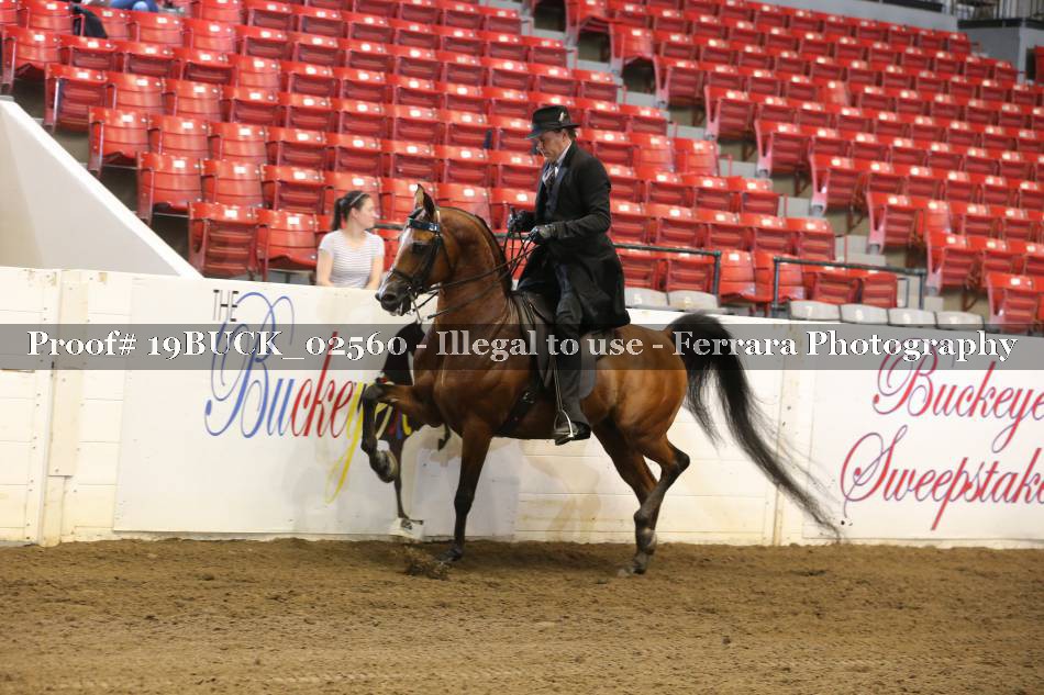 Proof 19BUCK_02560
