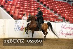 19BUCK_02560 proof