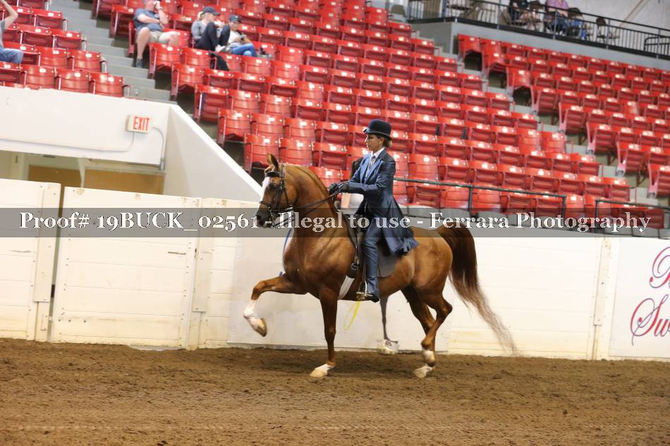 Proof 19BUCK_02561