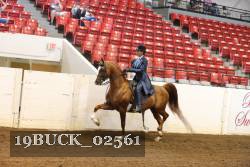 19BUCK_02561 proof