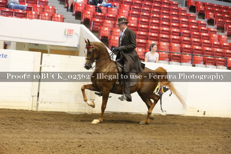 Proof 19BUCK_02562