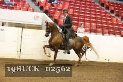 19BUCK_02562 proof