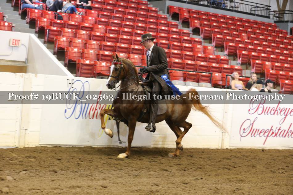 Proof 19BUCK_02563