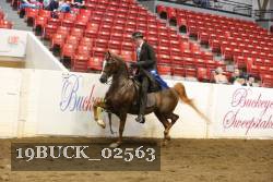 19BUCK_02563 proof