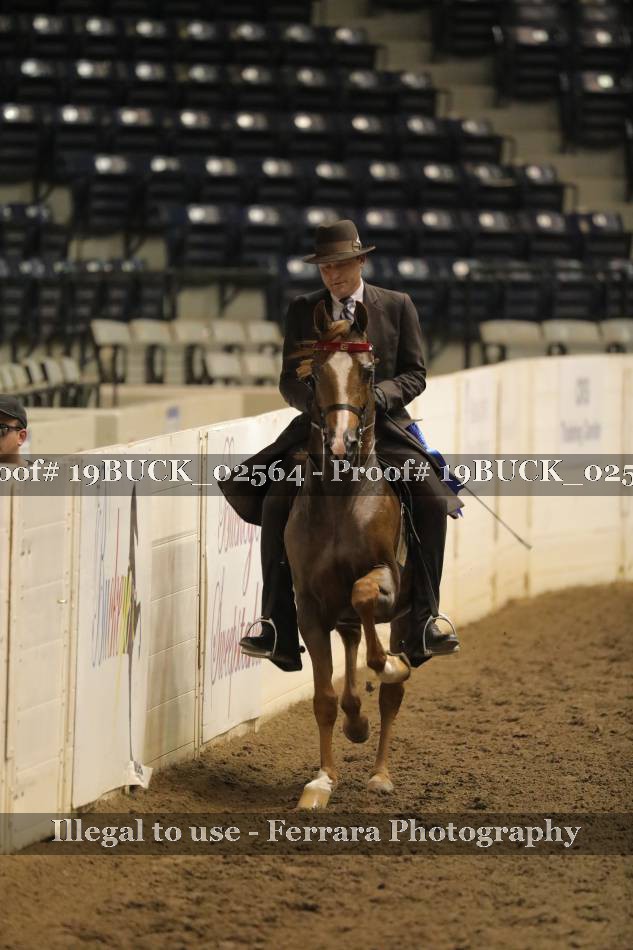 Proof 19BUCK_02564