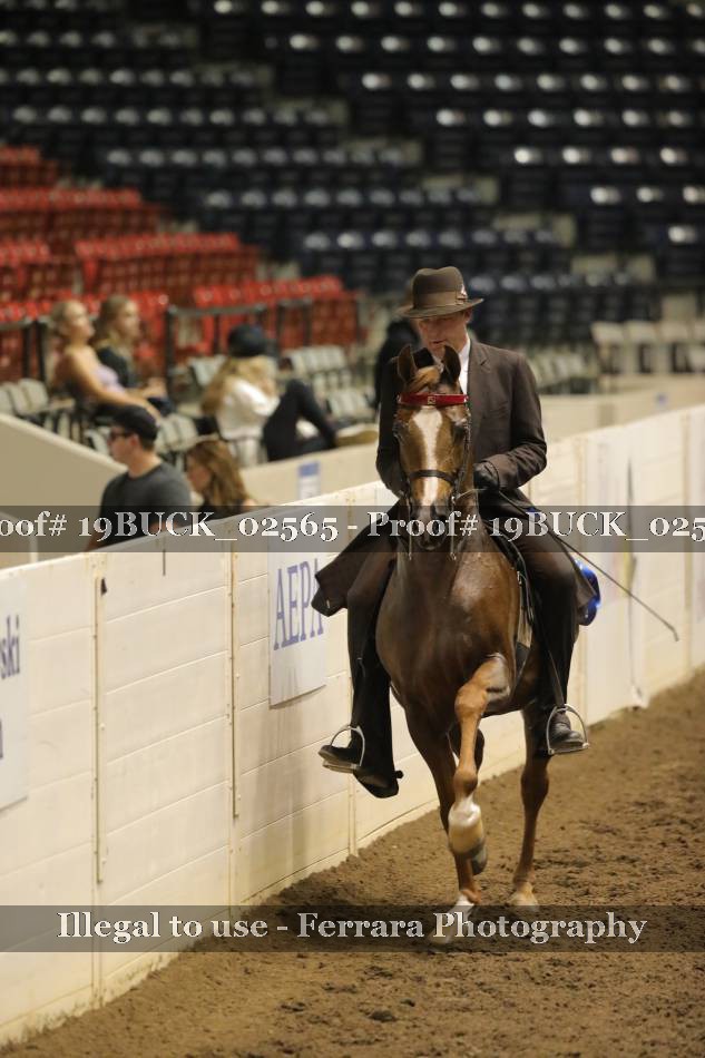 Proof 19BUCK_02565