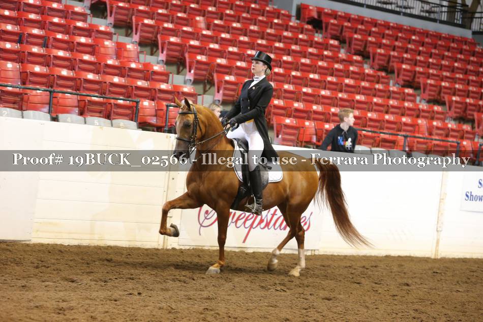 Proof 19BUCK_02566