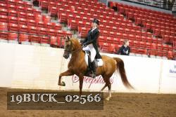 19BUCK_02566 proof