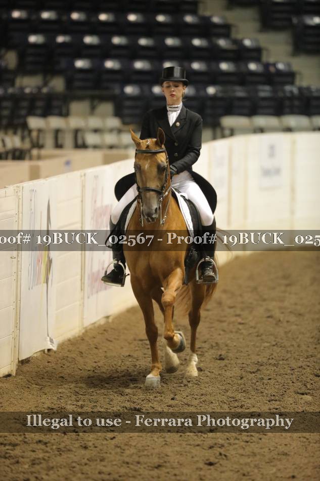 Proof 19BUCK_02567