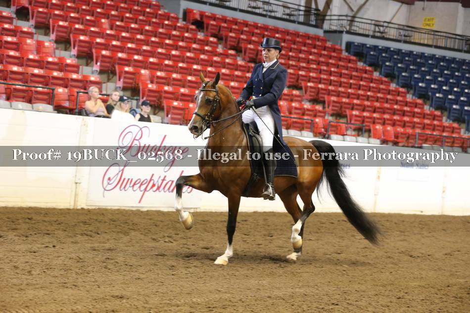 Proof 19BUCK_02568