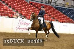 19BUCK_02568 proof