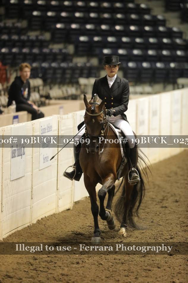 Proof 19BUCK_02569