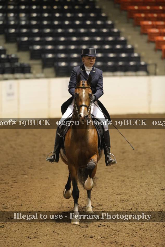 Proof 19BUCK_02570