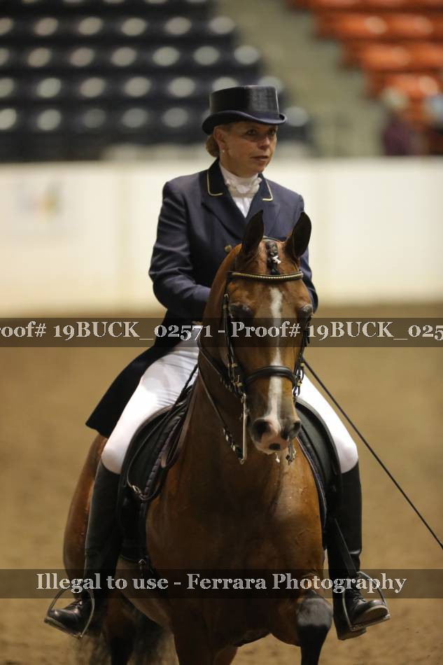 Proof 19BUCK_02571