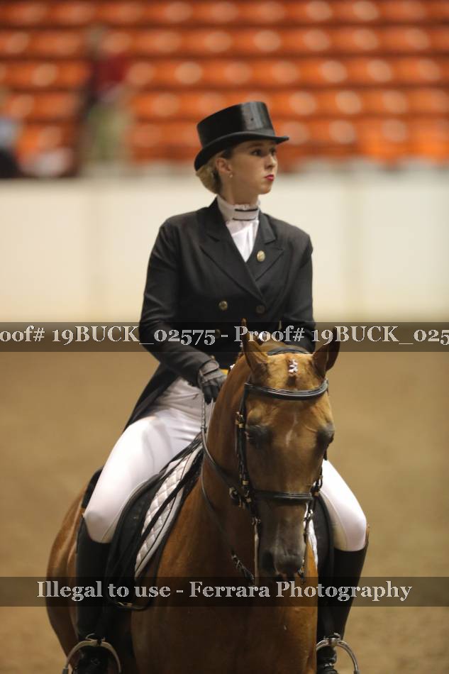 Proof 19BUCK_02575