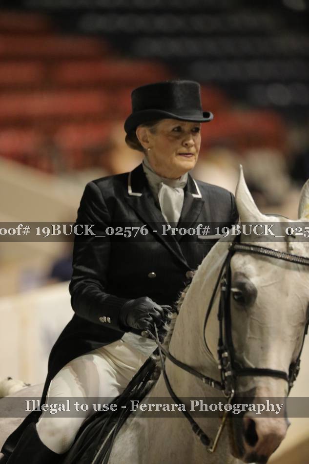 Proof 19BUCK_02576